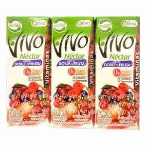 Jugo néctar Vivo Berries 190ml 24 uds